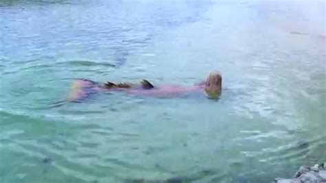 Real Life Mermaid Found Proof Of Mermaids Real Footage Youtube