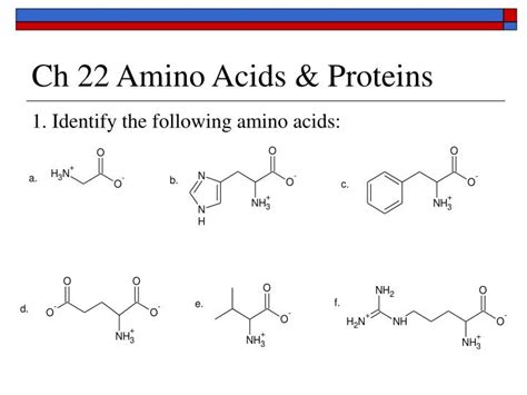Ppt Ch 22 Amino Acids And Proteins Powerpoint Presentation Free