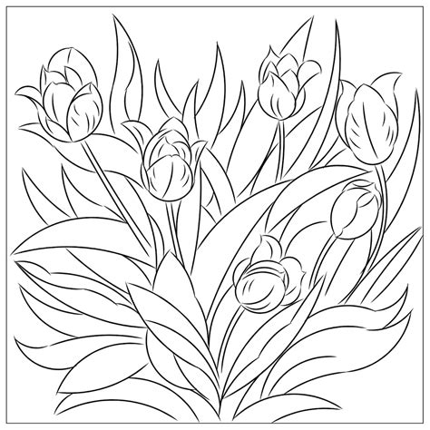 Nicoles Free Coloring Pages Tulips Coloring Page