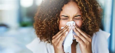 Why is your cat sneezing? Is it COVID-19 or Seasonal Allergies?