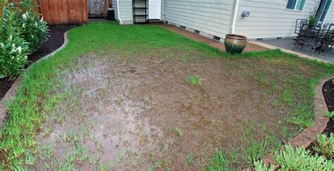 Do you have backyard drainage problems? French Drains 101 — Wolf Creek Company