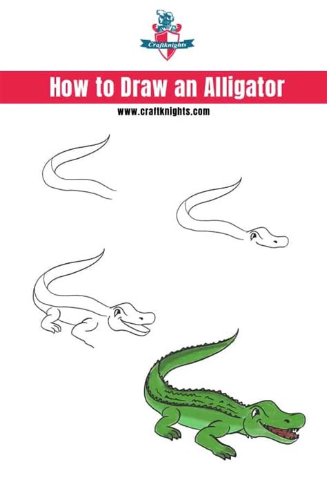 How To Draw An Alligator Simple Step By Step Guide Craftknights