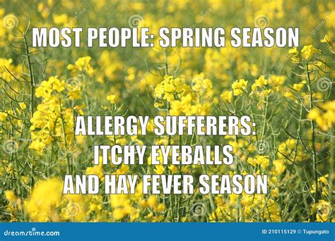 Spring Allergy Season Meme Stock Image Image Of Humor 210115129