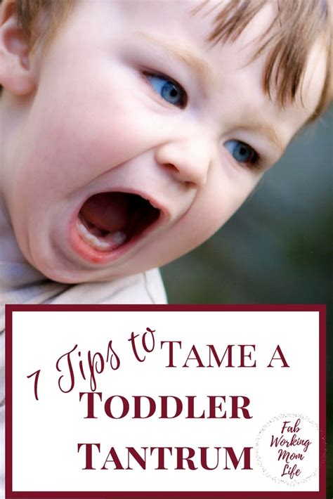 7 Tips To Tame A Toddler Tantrum Fab Working Mom Life