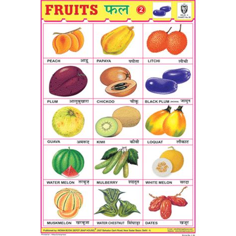 Fruits Chart No2 Size 12x18 Inchs 300gsm Artcard