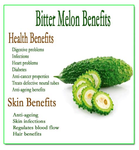 There are many benefits of regular consumption of bitter gourd. Bitter Melon Gourd Momordica Charantia Teabags Herbal ...
