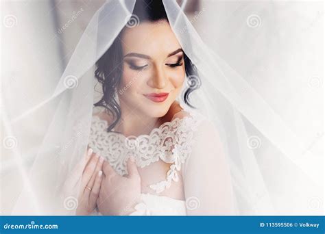 Portrait Of An Amazing Bride Bridal Veil Embroidery Stock Photo