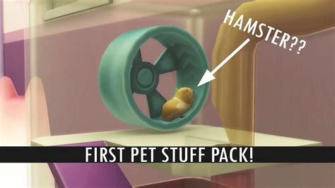 Stuff Pack For The Sims 4 Cats And Dogs Hamster More Pets Youtube