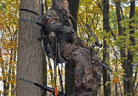 Best Tree Stand For Bow Hunting Bowhunting