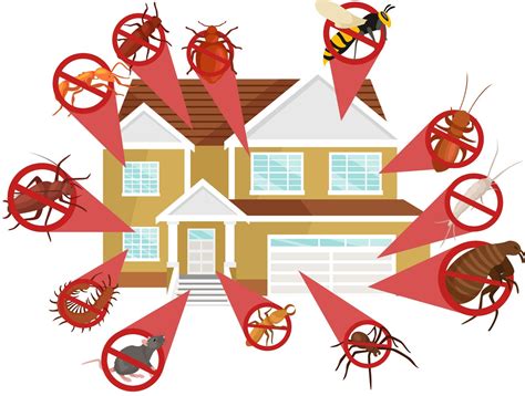 Do You Need Exterminator Or Pest Control Choose Who Is Best For You