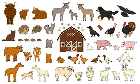 Set Of Cute Cartoon Doodle Farm Animals Vector Collection Of Donkey