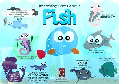 interesting-and-fun-facts-about-fish-infographics