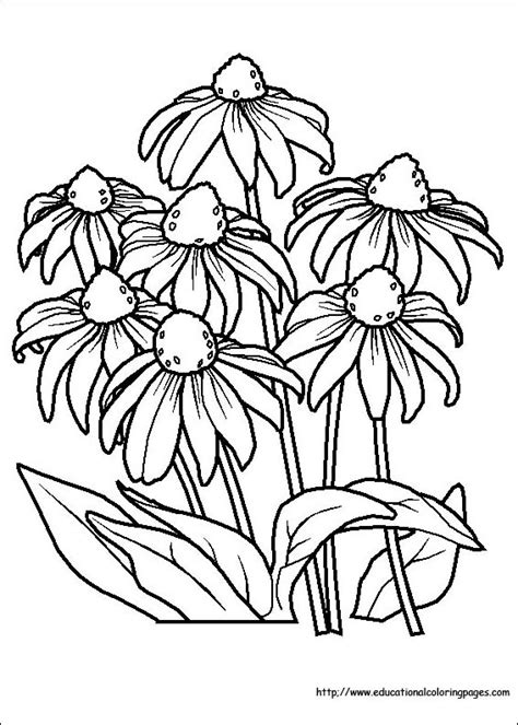 Flower Coloring Coloring Pages free For Kids