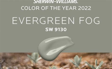 Hilton Head Furniture Store Sherwin Williams January Color Of The