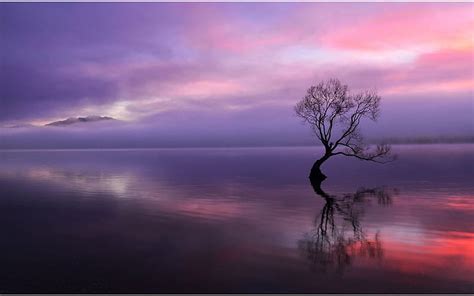 2k Free Download Sunset Tree Water Purple Black Silhouette Sky