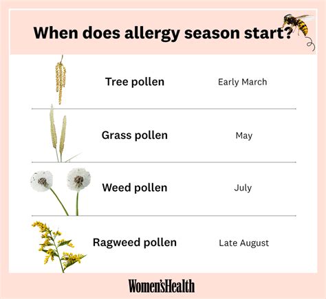 when is allergy season 2022 treating seasonal allergy symptoms