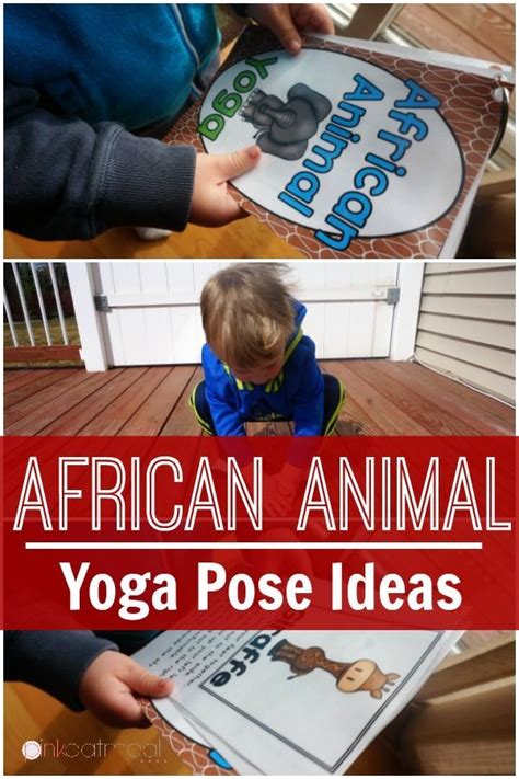 African Animal Yoga Best African Animals Africans And