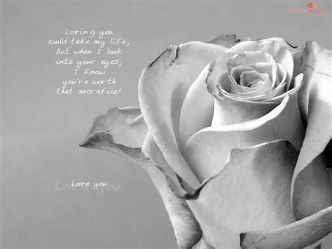 Romantic Rose Quotes Quotesgram
