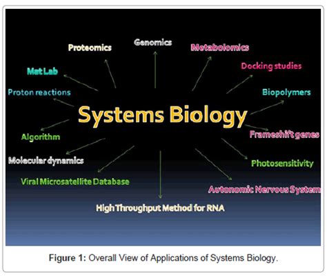 Likewise, the design of algorithms and machines can also draw inspiration from biological systems leading to bioinspired robots, computer immune systems, and evolutionary approaches to optimization. computer-science-systems-biology-Applications