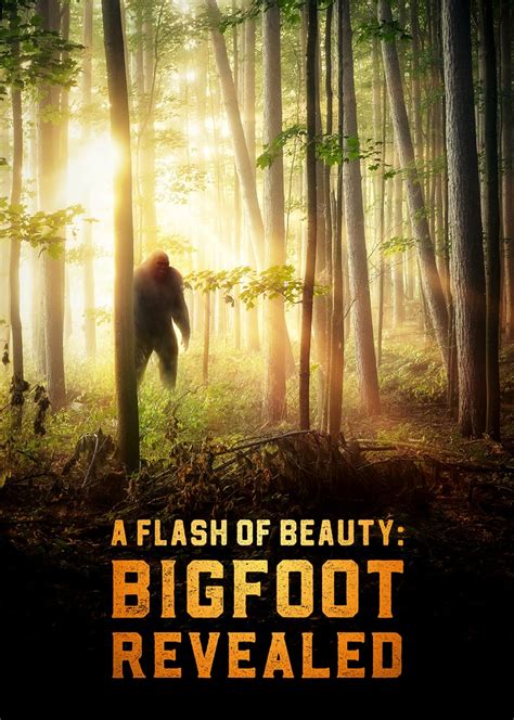 A Flash Of Beauty Bigfoot Revealed 2022 Imdb