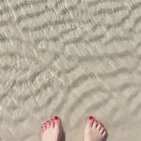 Shannon breams feet to download shannon breams feet just right click and save image as. Shannon Bream's Feet