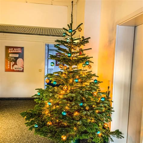 Der größte weihnachtsbaum der welt steht in dortmund. Wann werden wo die Weihnachtsbäume abgeholt - NE-WS 89.4