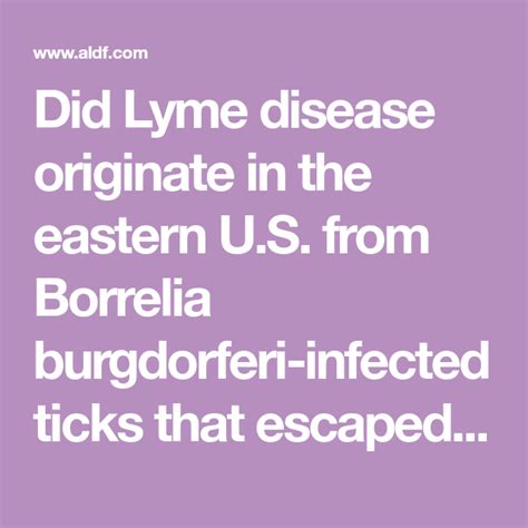 did lyme disease originate in the eastern u s from borrelia burgdorferi infected ticks that