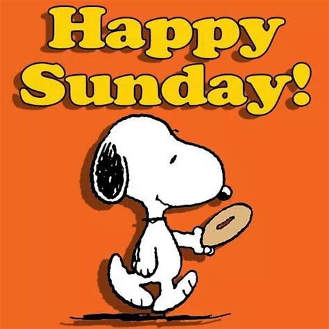 Snoopy Happy Sunday Good Morning Happy Sunday Snoopy Cartoon