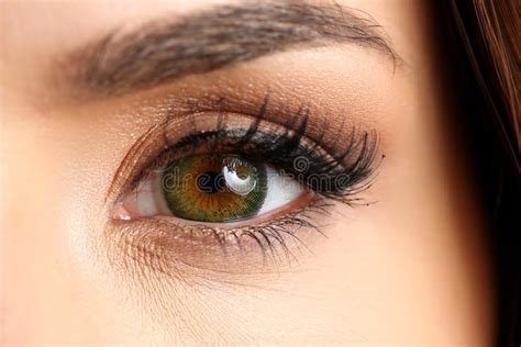 Female Left Emerald Green Coloured Eye Extreme Closeup Stock Image