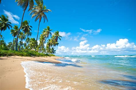 The Beaches In Brazil That Locals Love And You Will Too Lonely Planet