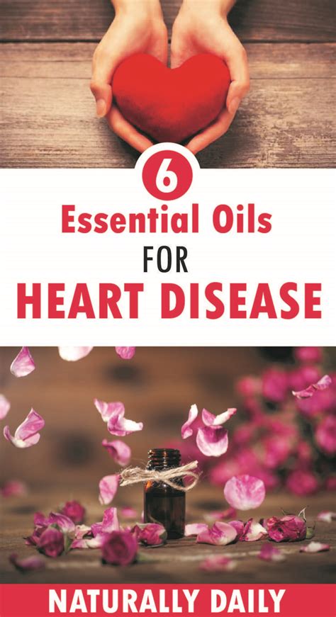 Essential Oils For Heart Health And Heart Disease
