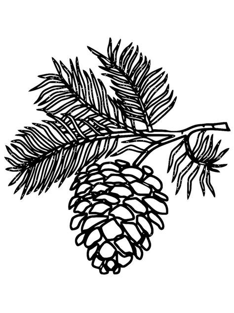 Pine Cone Coloring Page Download And Print Pine Cone Coloring Page