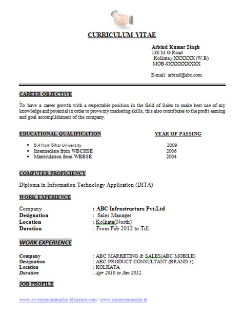 Over 10000 Cv And Resume Samples With Free Download Ba Resume Format