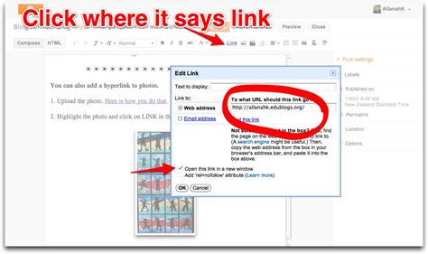 Bling For Your Blog: Adding a hyperlink from text or a photo