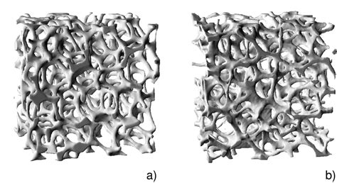 1 Two Typical Porous Structures A Aluminum Alloy B Vertebral