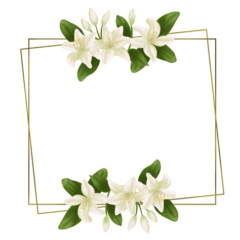 Golden Square Border Png Image Golden Square Border With Lily Flowers