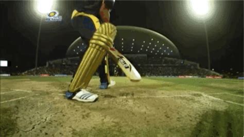 America Cricket Gif Find Share On Giphy Photos