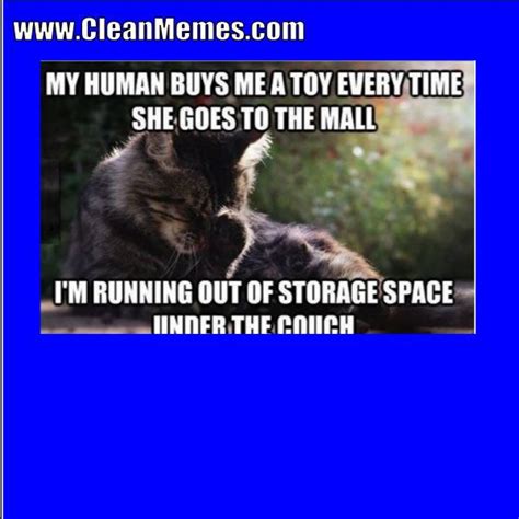 So we have found the funniest cat memes on the internet, for your personal enjoyment. Watch the Suprising Funny Clean Warrior Cat Memes ...
