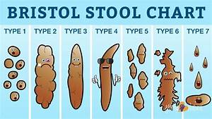 What This Chart Says About Your Health Bristol Stool Chart