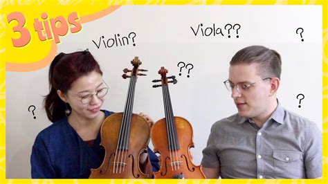 Viola Vs Violin What Are The Differences Violinspiration Atelier