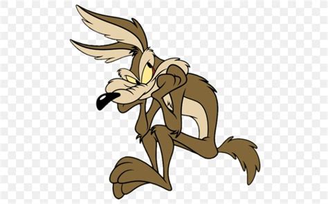 wile e coyote and the road runner bugs bunny looney tunes png clipart my xxx hot girl