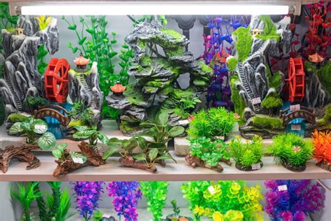 Best Artificial Aquarium Plants Our Top Picks 2023