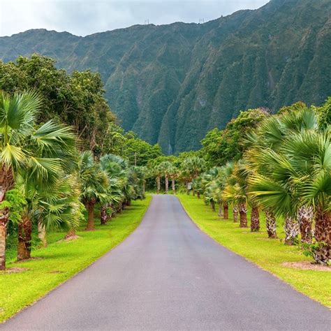 6 Best Botanical Gardens In Oahu Hawaii Turuhi