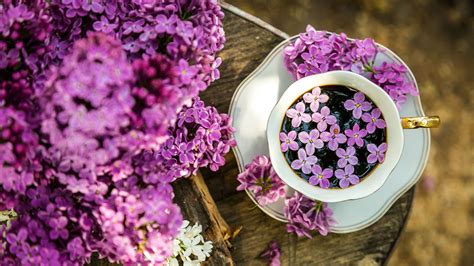 Download Wallpaper 3840x2160 Coffee Cup Lilac Flowers