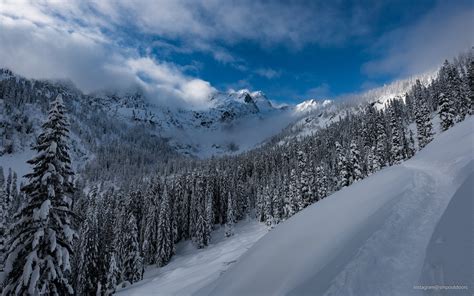 The Snow Covered Landscape Near Snoqualmie Pass Washington State Oc