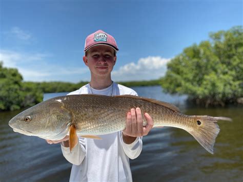 New Fishing Report Tampa Bay Inshore Fishing Charters