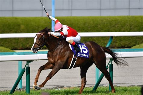 13:26 サクラゴンの競馬チャンネル 62 417 просмотров. 宝塚記念2019の競馬予想分析!3つのデータから導く危険な人気馬