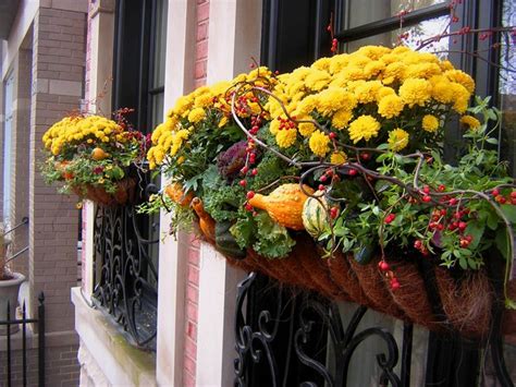 Fabulous Fall Flower Containers Container Flowers Fall Container