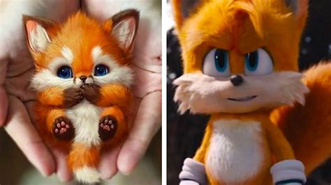 Sonic Characters In Real Life Comparison Youtube