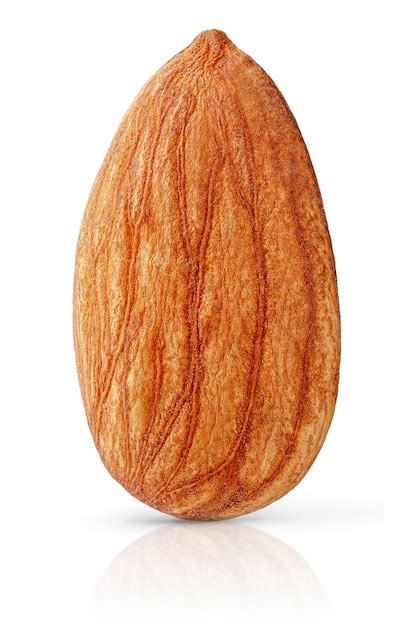 Premium Photo Isolated Single Almond Nut Isolated With Clipping Path